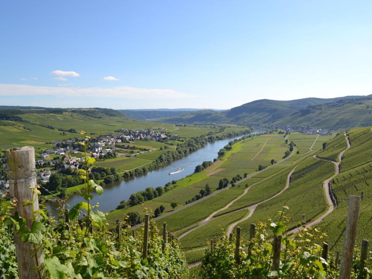 Weingut Mathy-schanz *