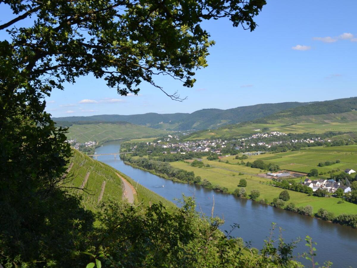 Weingut Mathy-schanz Osann-Monzel