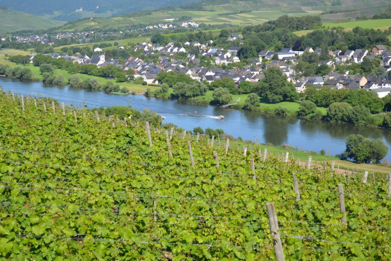 Appartement Weingut Mathy-schanz *