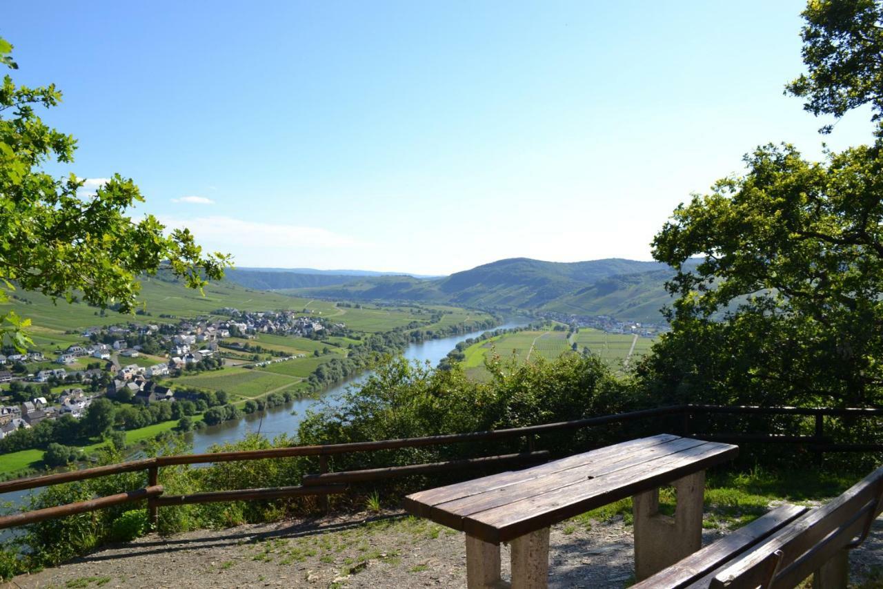 Weingut Mathy-schanz * Osann-Monzel